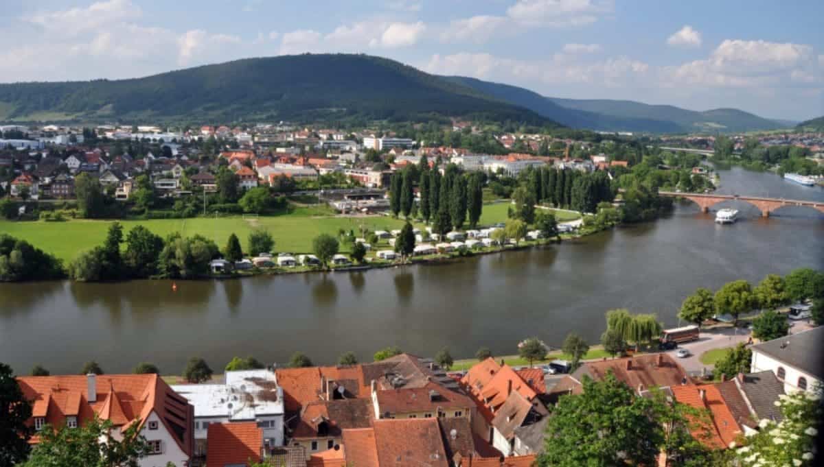 View of the Rhine river from Mildenburg Castle
