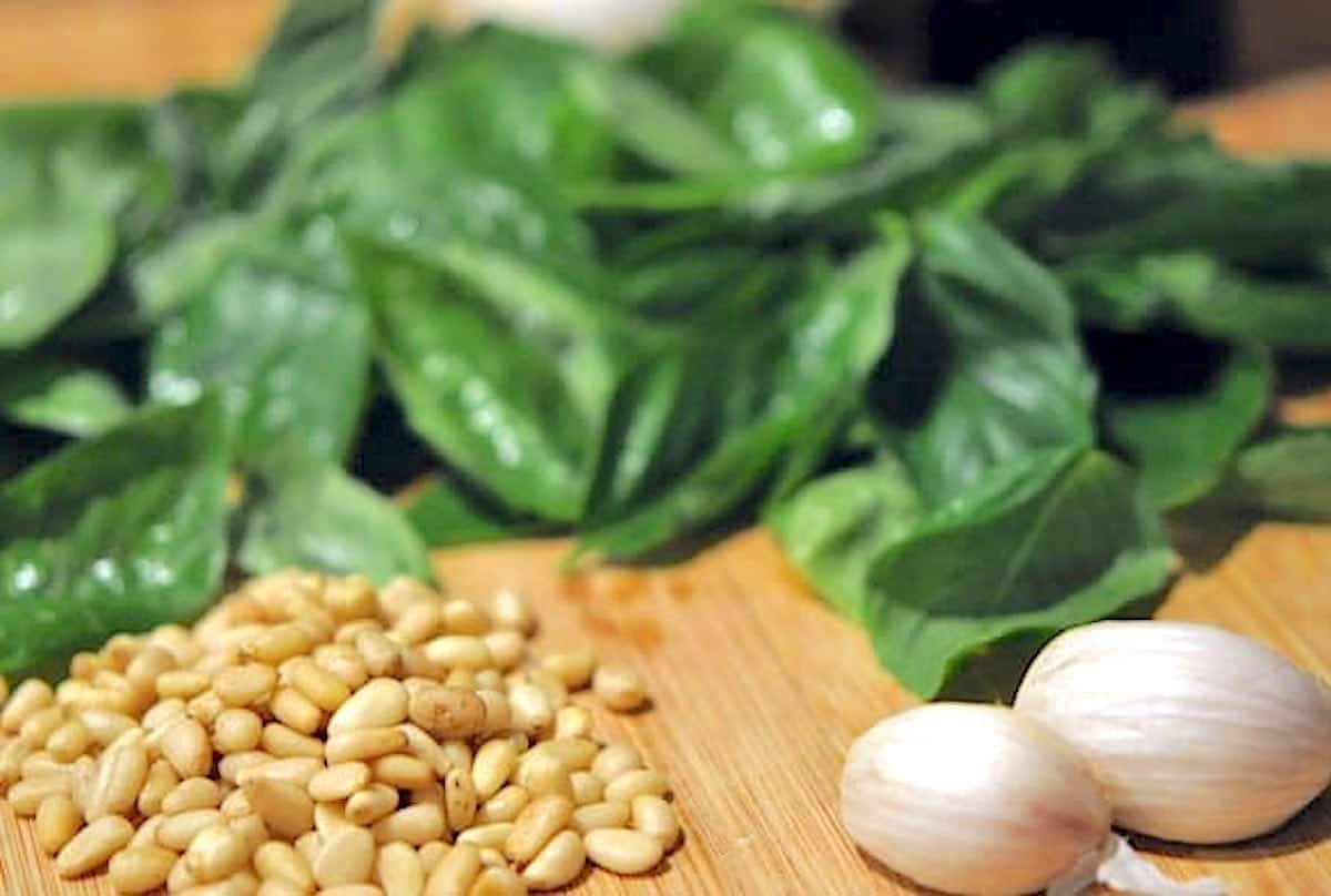 Display of ingredients to make pesto.