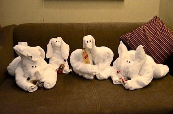 Party time with towel animals.