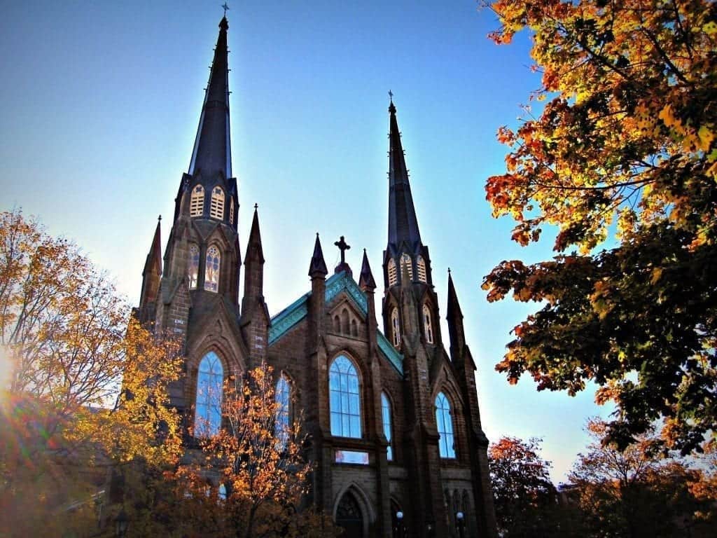 Maple trees in Charlottetown Prince Edward Island turn shades of golds, reds and orange.