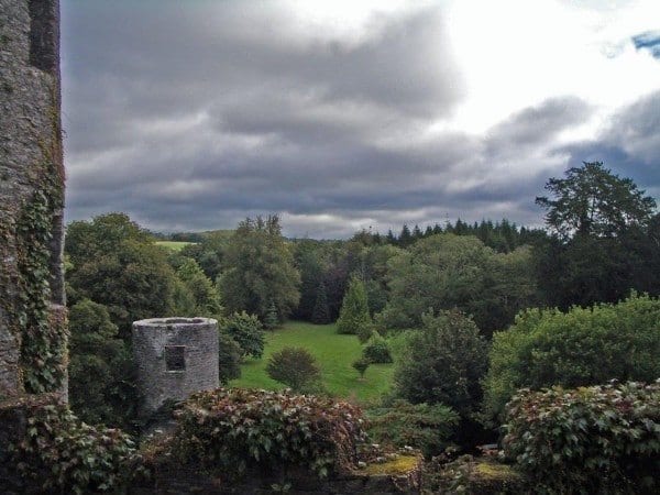 View from the stone patio
