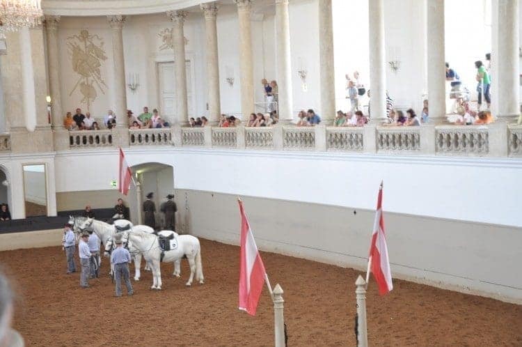 Once you have your ticket, head upstairs and find a place to stand while watching the horses practice.
