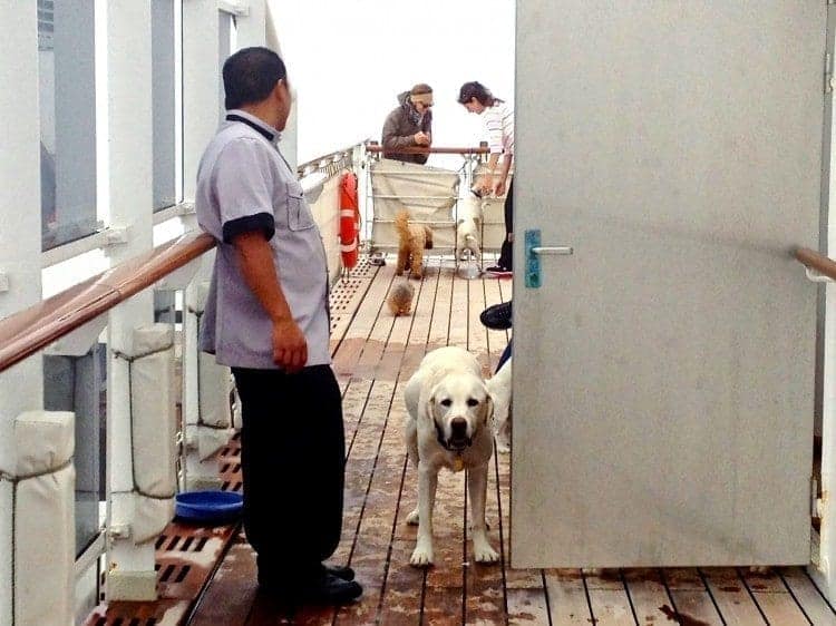 Queen Mary 2 Kennels will see the addition of 10 kennels following the Queen Mary 2 refurbishments.