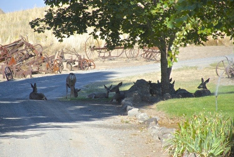 Lunch at Garden Creek Ranch, owned by the Nature Conservancy.