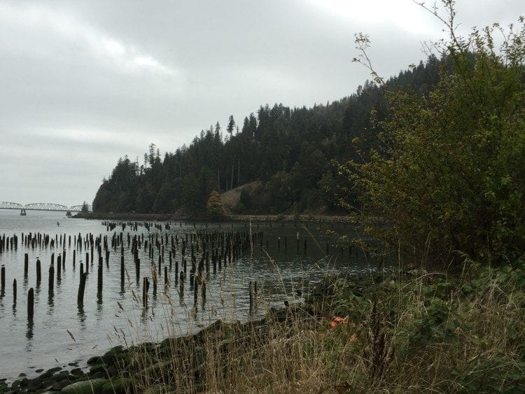Dismal Nitch, on the north side of the Columbia River, in Washington.