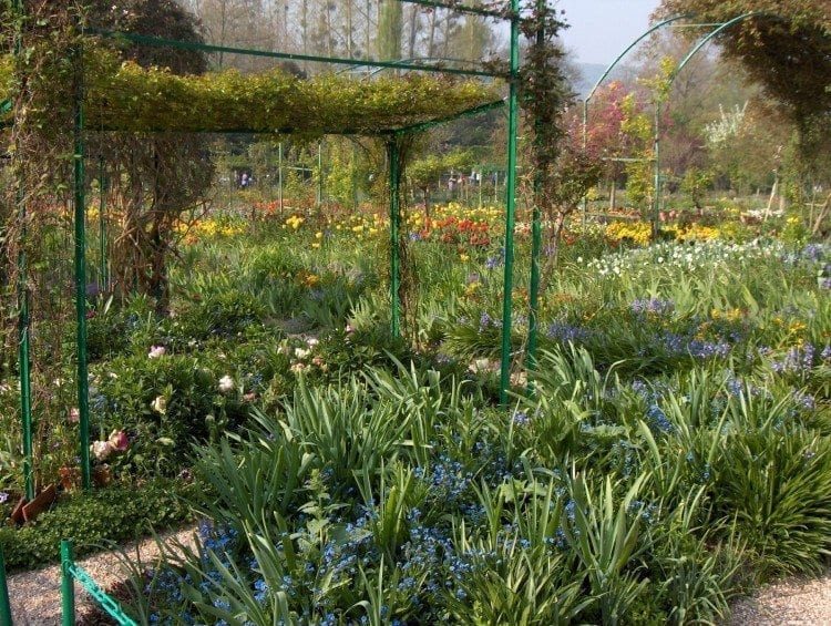 Claude Monet's garden at Giverny, France