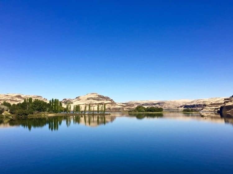 Another amazingly still stretch of the Columbia River.