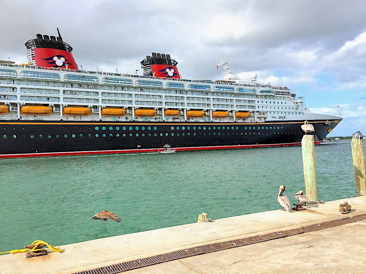 Disney Magic leaving from Port Canaveral with several brown pelicans watching the ship from the dock.