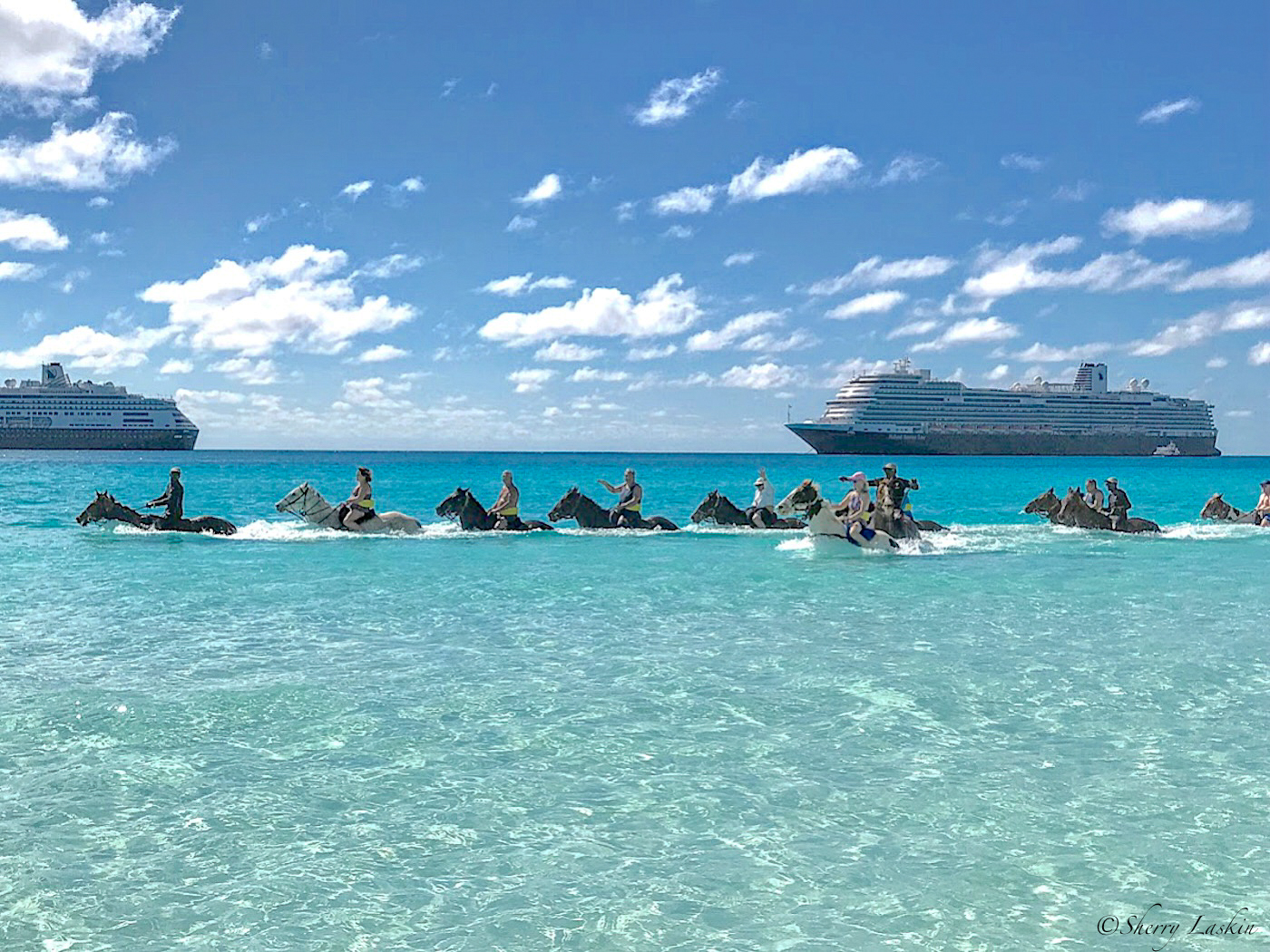 cruise passengers riding horses in the ocean with two ships in the background.